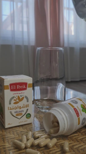 الاشوجندا thumb 3